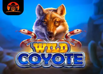 Wild Coyote