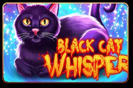 Black Cat Whisper